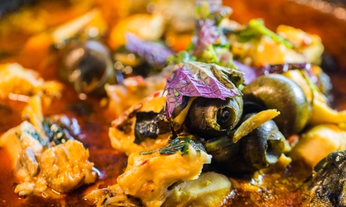 红菜苔的烹饪方法与美味秘诀